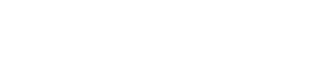 beim-waicher-logo
