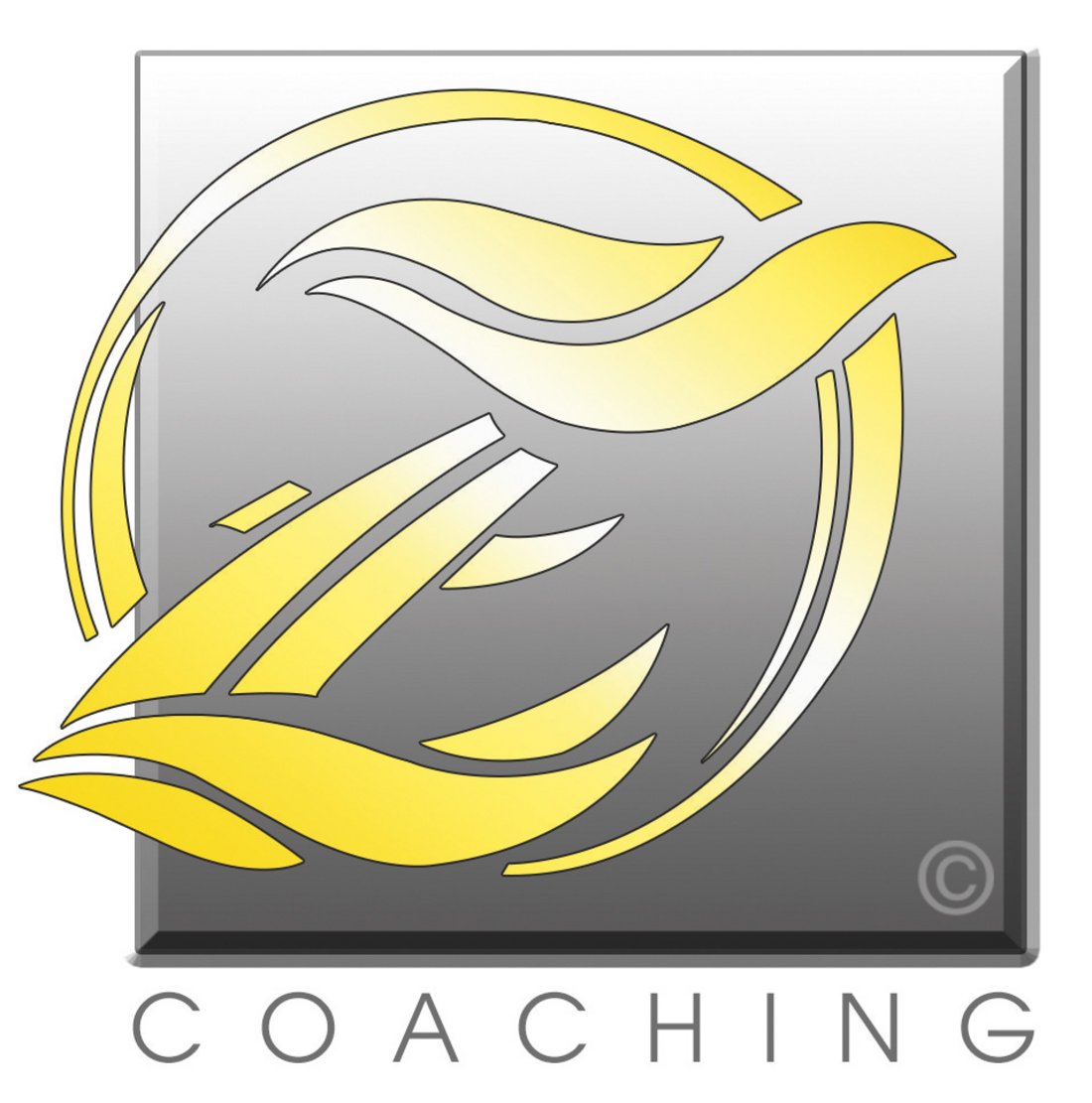 Coaching Zahn