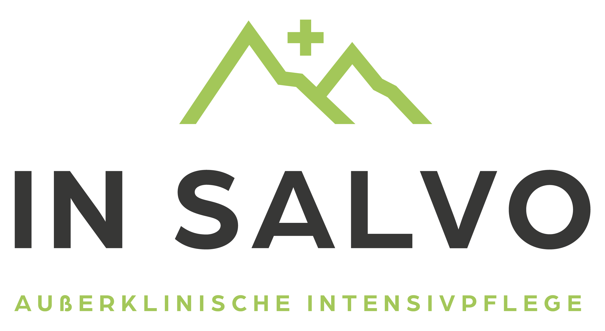 230413_In_Salvo_Logo_Basis